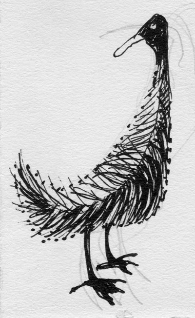 鳥、c1950。 作： Shirley Markham