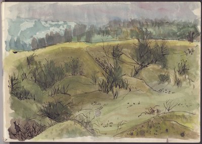 茂みのある風景、イタリア、c1950。 作： Shirley Markham