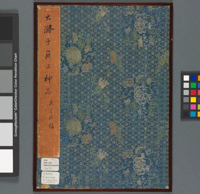 清王朝の秦淮川を彷彿とさせる（紙にインクと色） 作： Shitao Daoji