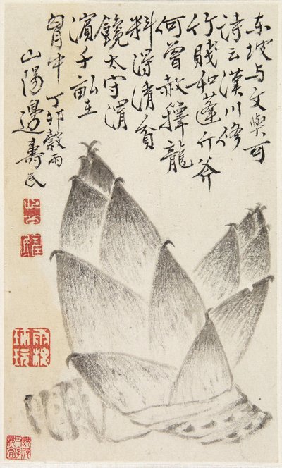 野菜のアルバムからのタケノコ（紙にインク） 作： Shou min Pien