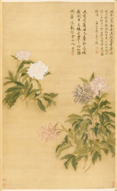 牡丹、掛軸 作： Shouping Yun