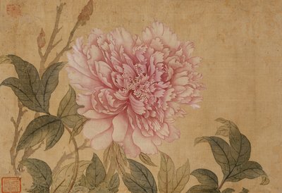 花画帖より牡丹、葉（絹本に墨、彩色） 作： Shouping Yun