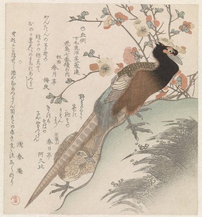 花の枝の前のキジ 下野国鹿沼芙蓉連歌人会花鳥図七図（連題） 山川下野鹿沼芙蓉連花鳥七番続々の内 作： Shunman