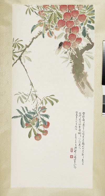 ライチと蝉 作： Shuren Chen