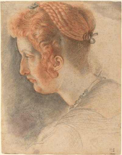 プロフィールの女性の頭 作： Sigismondo Coccapani