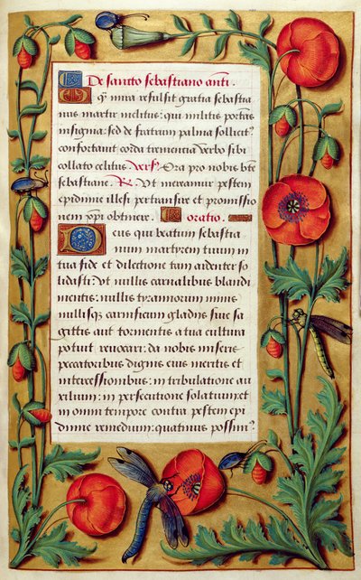 追加 18855 f.103 ポピーとトンボ、Book of Hours、1540 年頃（ベラム）から 作： Simon Bening