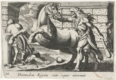 Hercules temt de paarden van Diomedes 馬と王ディオメデス (オブジェクトのタイトル) Herculische theme