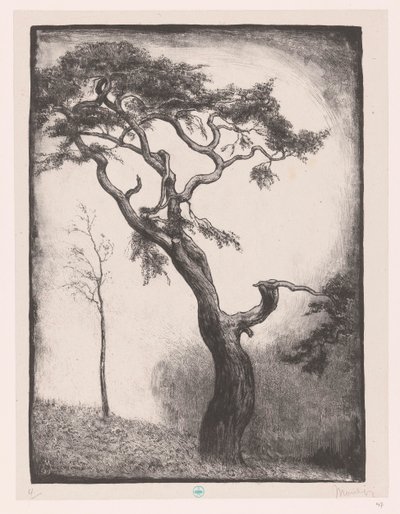 松の木 作： Simon Moulijn (signed by artist)