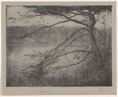 Oisterwijk 近くのフェン 作： Simon Moulijn (signed by artist)