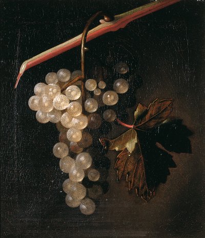 石垣の前にぶら下がるぶどうの房、1709 作： Simon Peeterz Verelst