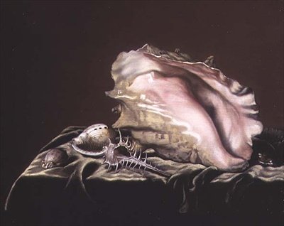 貝殻の静物画 作： Simon Renard de Saint Andre