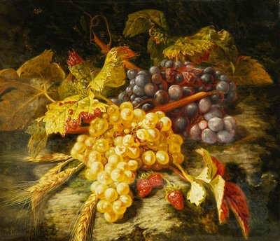 ぶどう、ひげを生やした小麦、イチゴ、岩の多い棚、1849年 作： Simon Saint Jean