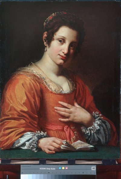 若い女性の肖像画 作： Simon Vouet