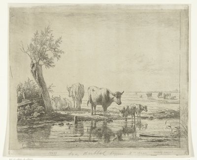 水の近くに牛がいる牧草地の風景 作： Simon van den Berg