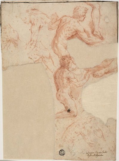 男性の裸体、脚のスケッチ (直腸); 男性ヌードのスケッチ (裏面) 作： Simone Cantarini