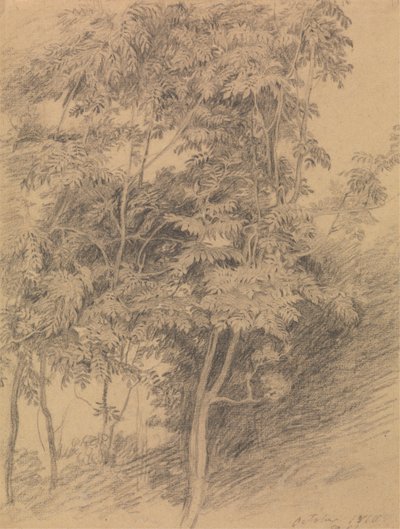 木の研究 作： Sir David Wilkie