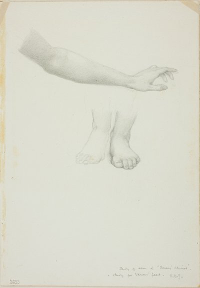 腕と足、金星の鏡の習作 作： Sir Edward Burne Jones