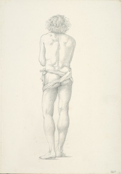 立っている男性ヌードの背面図 作： Sir Edward Burne Jones