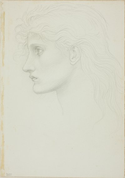 左向きの女の子の頭 作： Sir Edward Burne Jones