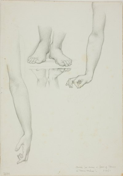 金星の鏡の習作：金星の腕と足 作： Sir Edward Burne Jones