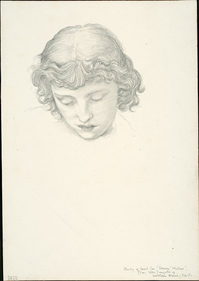 金星の鏡の習作：頭 作： Sir Edward Burne Jones