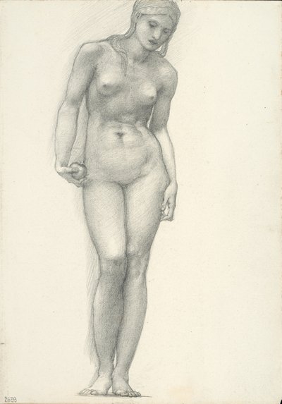 トロイトリプティクのために、右手に黄金のリンゴを持つヴィーナス（スケッチブック＃2639） 作： Sir Edward Burne Jones