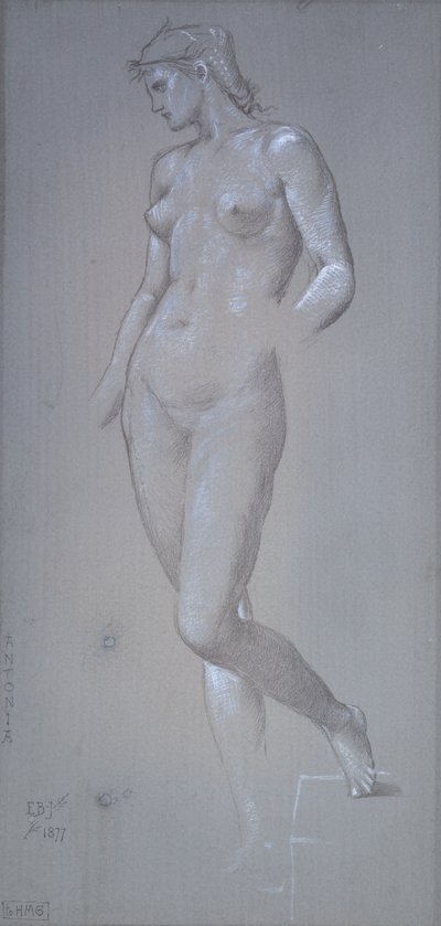 アントニア、1877年 作： Sir Edward Coley Burne Jones