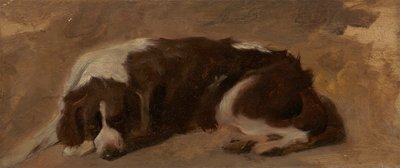 A Spaniel Lying Down   1432475   ja       japanese Successfully Translated  Original: Christopher Columbus letter Translat: Christopher Columbus
