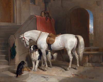 Favourites, the Property of H.R.H. Prince George of Cambridge [1835, Royal Academy of Arts, London, exhibition catalogue]   1432754   ja       japanese Successfully Translated  Original: Venice: the Bacino di San Marco from San Giorgio Maggiore (painting)  作： Sir Edwin Henry Landseer