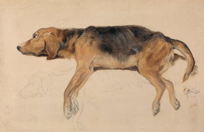 横になっている犬の研究 作： Sir Edwin Henry Landseer