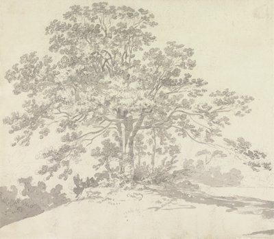 木 作： Sir George Howland Beaumont seventh Baronet