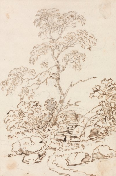 段階別ツリー 作： Sir George Howland Beaumont seventh Baronet