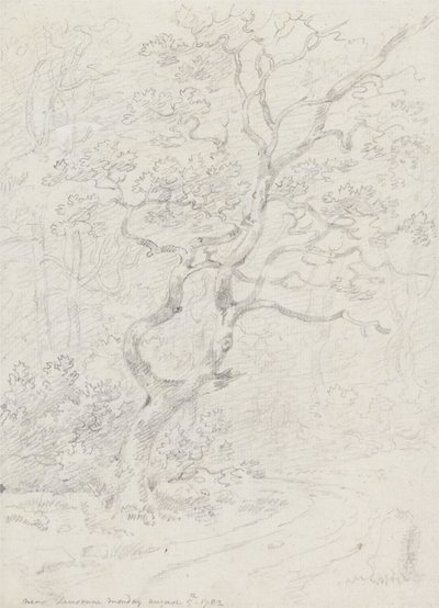 Árvores, Perto de Lausanne 作： Sir George Howland Beaumont seventh Baronet
