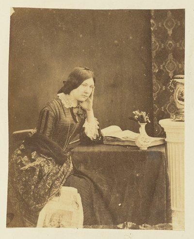 [女性の肖像］ 作： Sir John Joscelyn Coghill