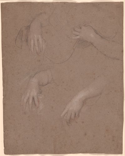 Drawings of Hands   1447162   ja       japanese Successfully Translated  Original: Portrait of Young Man, by Giovanni Battista Moroni (ca 1525-1578), oil on canvas, 44,4x56,9 cm Translat: Portrait of Young Man, by Giovanni Battista Moroni (ca 1525-1578), o 作： Sir Peter Lely