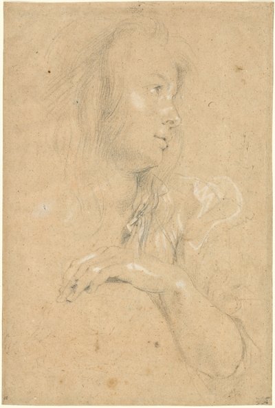 プロフィールの若い女性 作： Sir Peter Paul Rubens