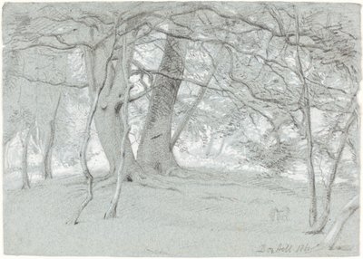 ボックスヒルの木々 作： Sir William Blake Richmond