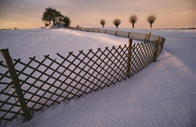 雪の中のヴァイキングの墓（デンマーク、エルヴァーホイ近郊、2022年）（写真）。 作： Sisse Brimberg