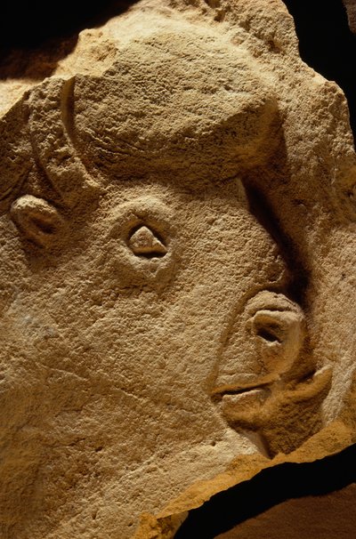 バスレリーフのバイソンの彫刻、石灰岩は16,000年前のもの。 作： Sisse Brimberg