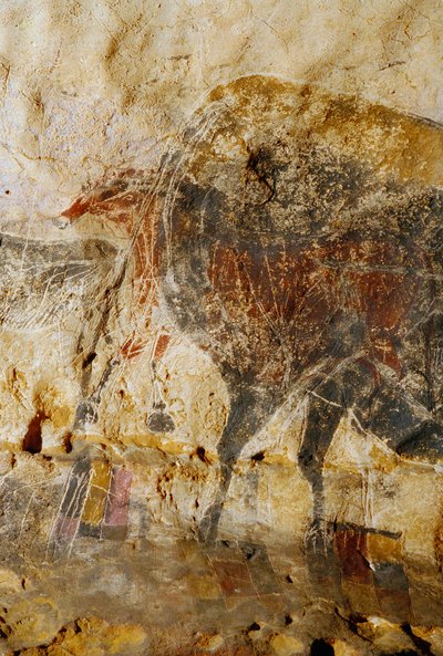 ラスコー、馬の頭の彫刻画の詳細。 作： Sisse Brimberg