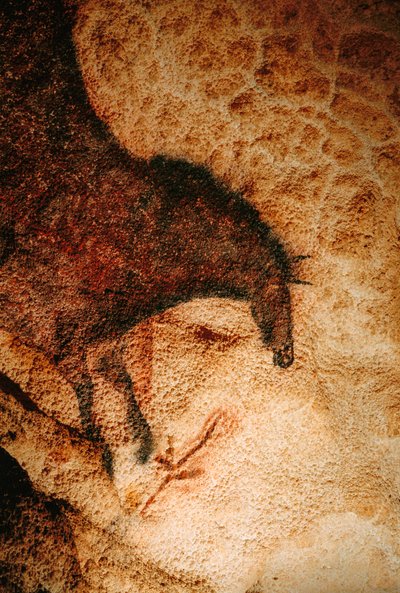 フランス、ラスコー洞窟のギャロップホース。 作： Sisse Brimberg