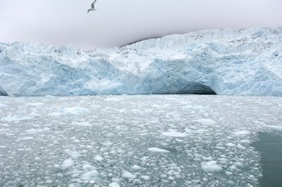 2022年、ノルウェー、スバールバル諸島の北極海に浮かぶ氷河。 作： Sisse Brimberg