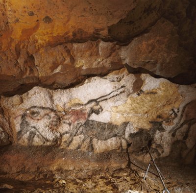 1万7,000年以上前に描かれたラスコー神話の一角獣が、白い方解石に並んでいる。 作： Sisse Brimberg