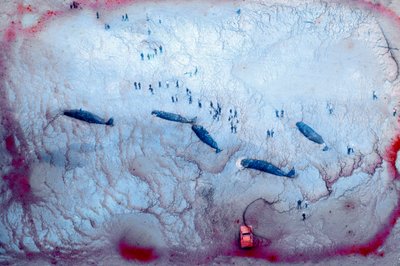 2022年の「間」（写真） 作： Sisse Brimberg