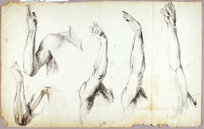 腕の研究 第2回 作： Solon H. Borglum