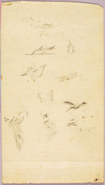鳥類 作： Solon H. Borglum