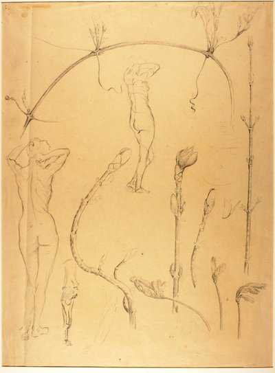 枝とヌードの習作 作： Solon H. Borglum
