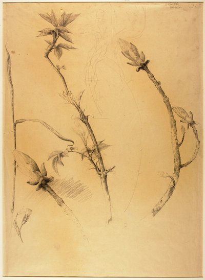 枝 作： Solon H. Borglum