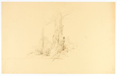 枯れ木とコルトの放牧 作： Solon H. Borglum