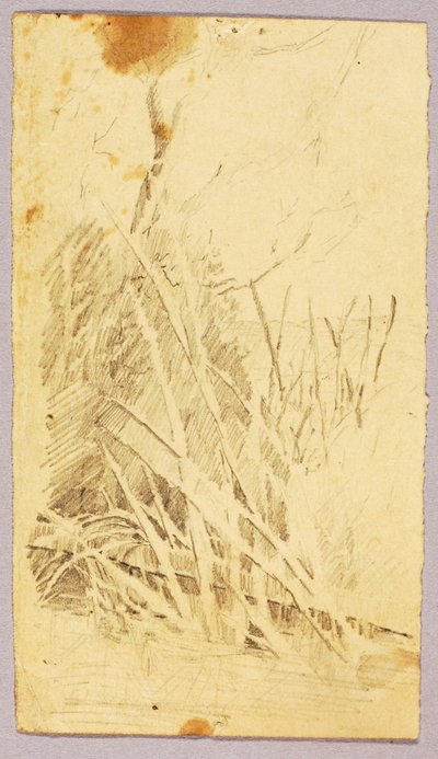 葉 作： Solon H. Borglum